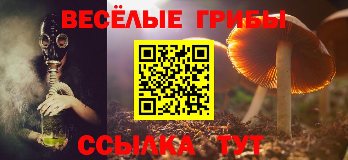 Псилоцибиновые грибы Magic Shrooms Гуково
