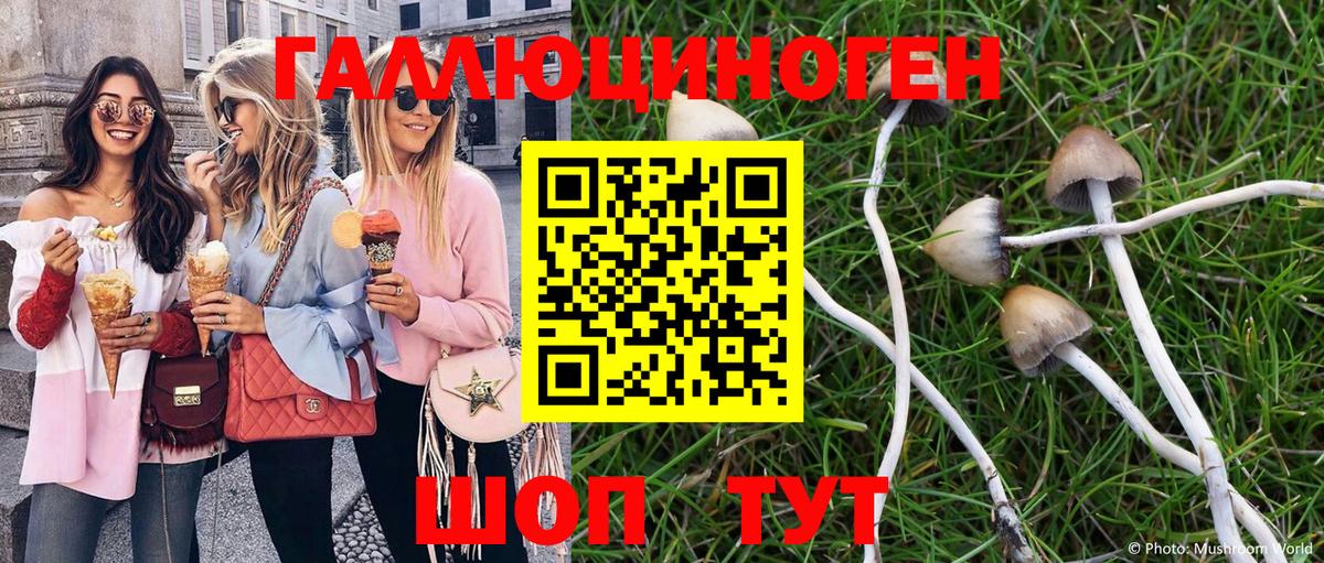 Гуково  закладка  Вход с VPN  Галлюциногенные грибы GOLDEN TEACHER 